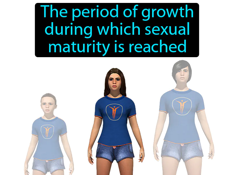 Puberty Definition Puberty Definition