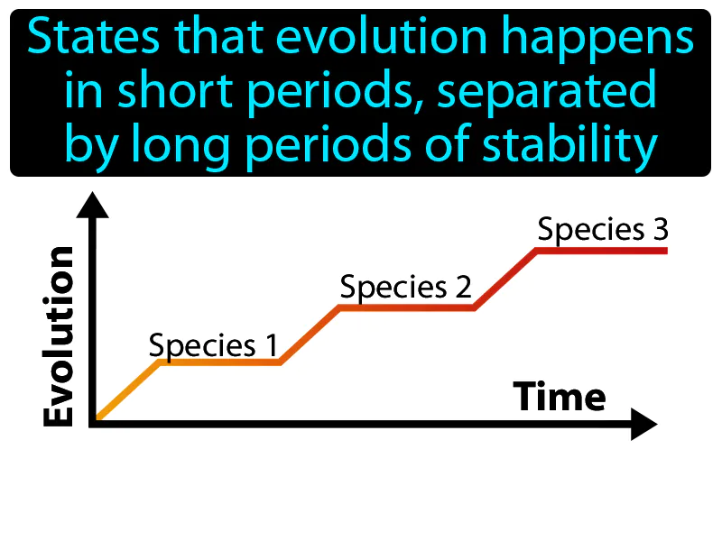 Punctuated Equilibrium Definition Punctuated Equilibrium Definition