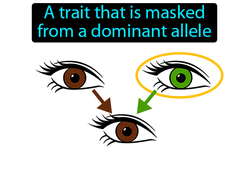 Recessive Trait Definition Recessive Trait Definition