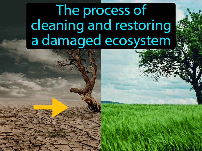 Reclamation Definition Reclamation Definition