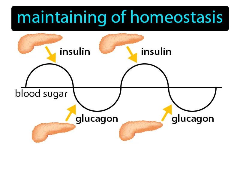 Regulation Definition Regulation Definition