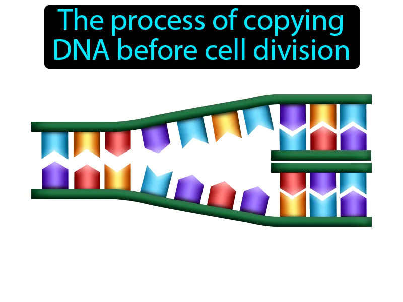Replication Definition Replication Definition