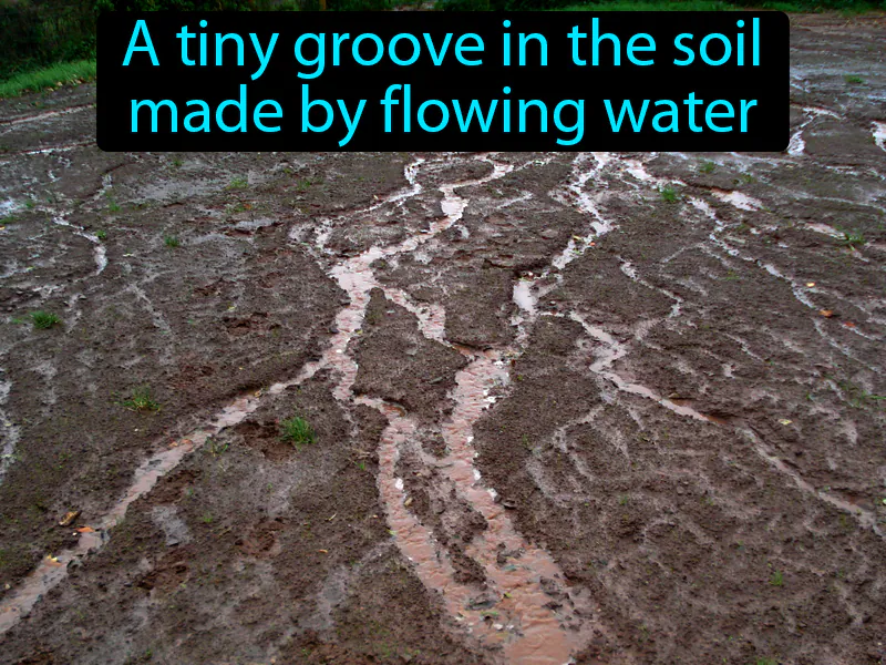 Rill Definition Rill Definition