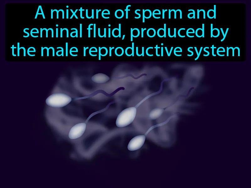 Semen Definition Semen Definition
