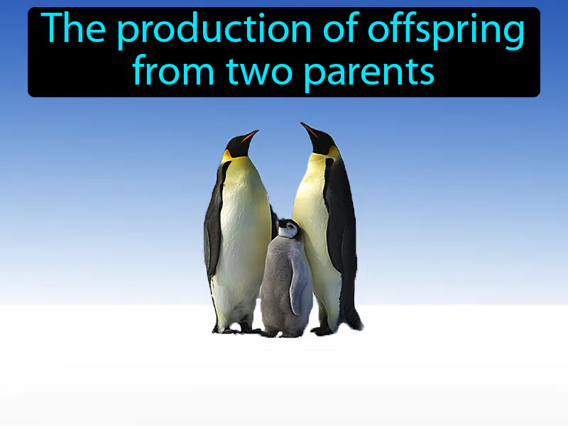 Sexual Reproduction Definition Sexual Reproduction Definition