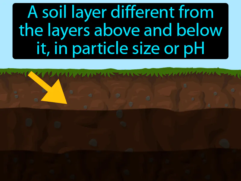 Soil Horizon Definition Soil Horizon Definition