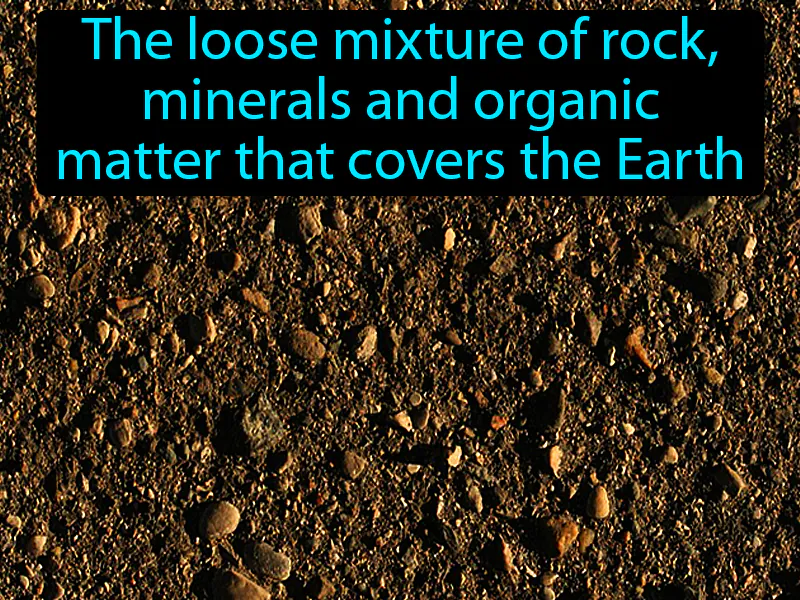 Soil Definition Soil Definition