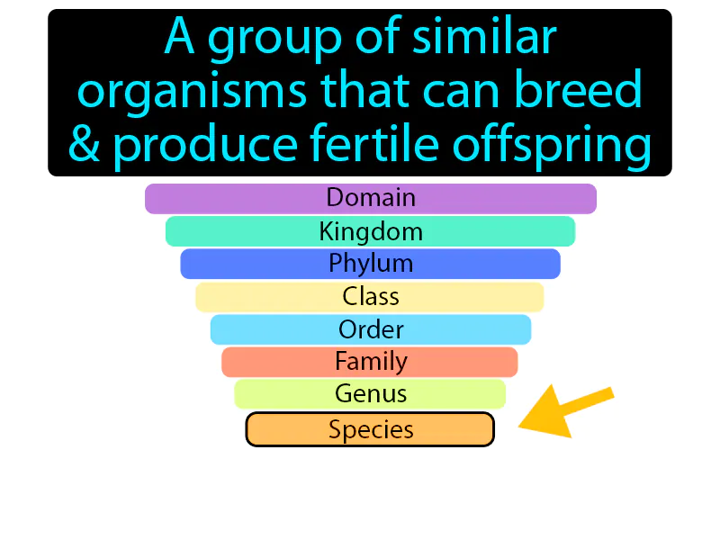 Species Definition Species Definition
