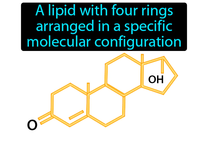 Steroid Definition Steroid Definition