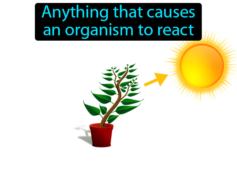 Stimulus Definition Stimulus Definition