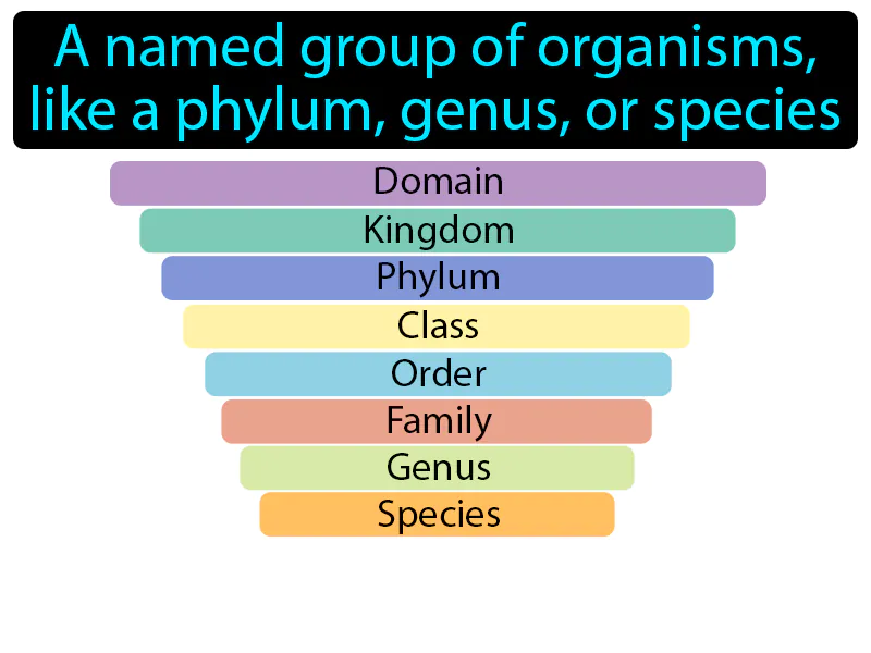 Taxon Definition Taxon Definition