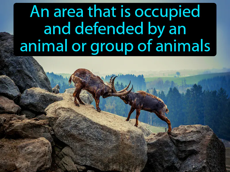 Territory Definition Territory Definition