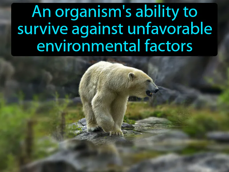 Tolerance Definition Tolerance Definition