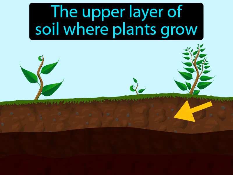 Topsoil Definition Topsoil Definition
