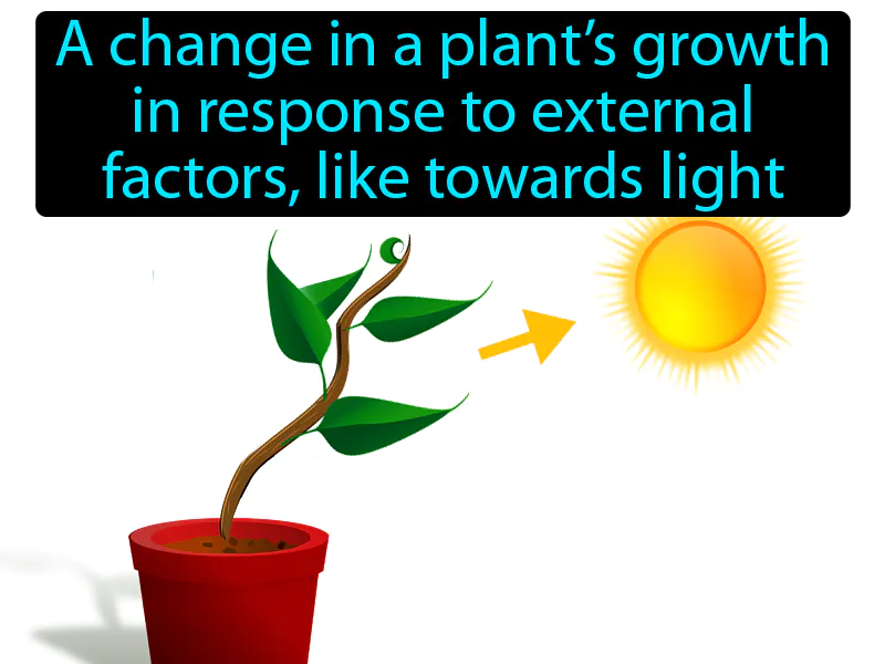 Tropism Definition Tropism Definition