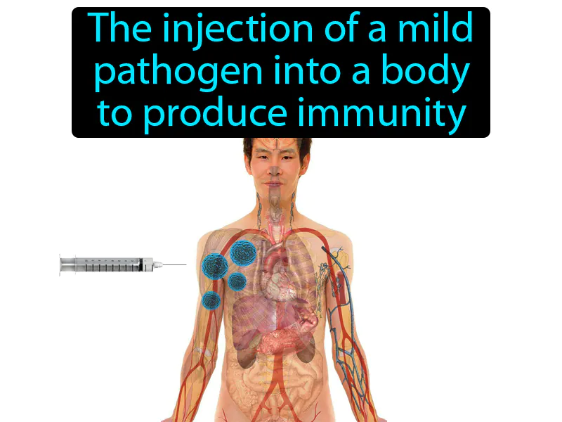 Vaccination Definition Vaccination Definition