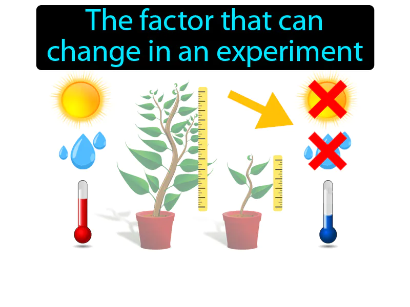 Variable Definition Variable Definition