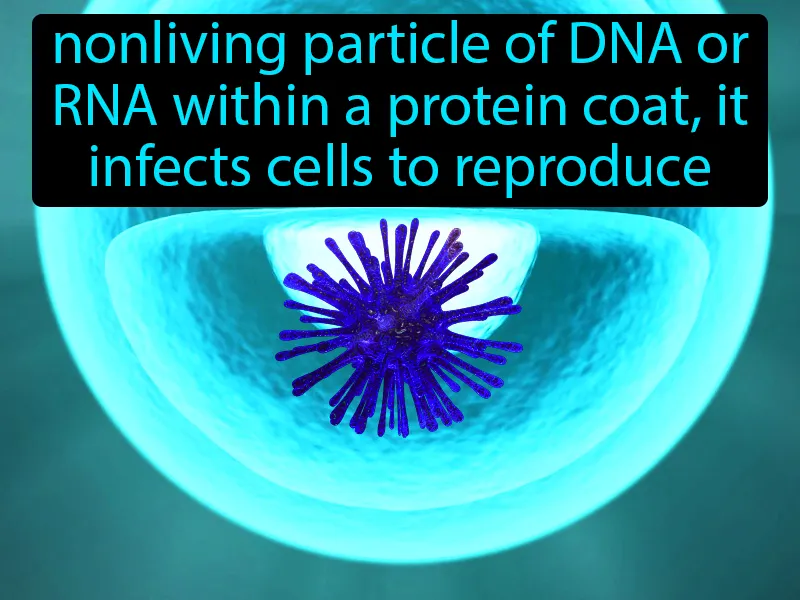 Virus Definition Virus Definition