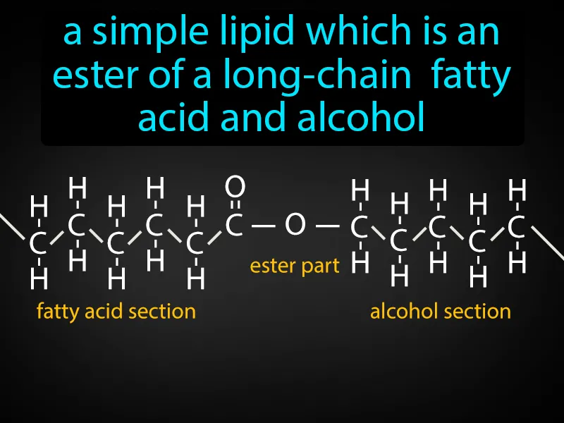 Wax Definition Wax Definition
