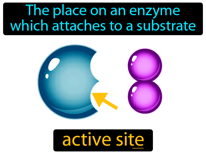 Active Site Definition Active Site Definition