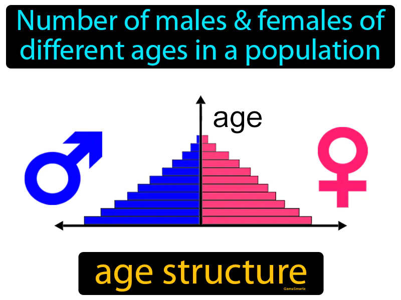 Age Structure Definition Age Structure Definition