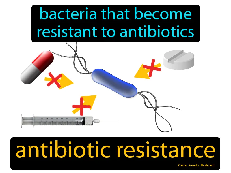 Antibiotic Resistance Definition Antibiotic Resistance Definition