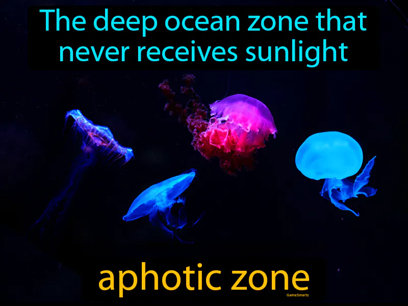 Aphotic Zone Definition Aphotic Zone Definition