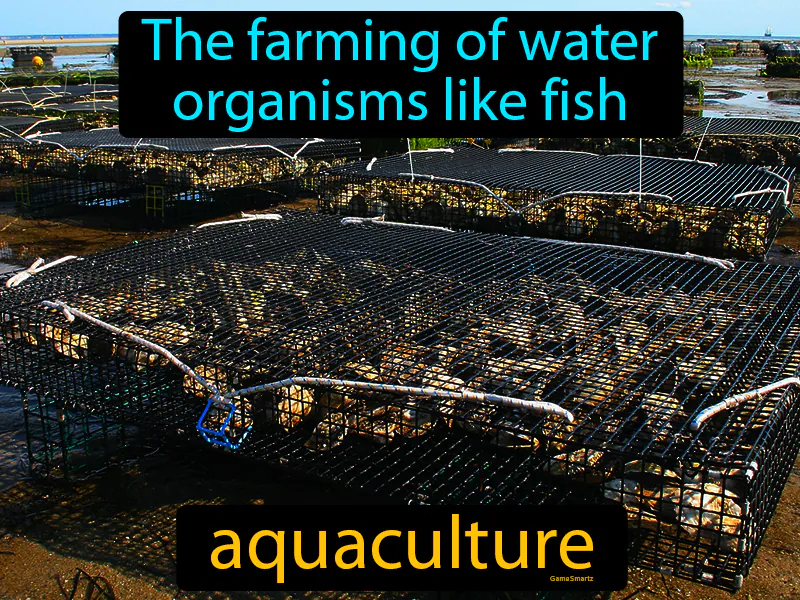 Aquaculture Definition Aquaculture Definition