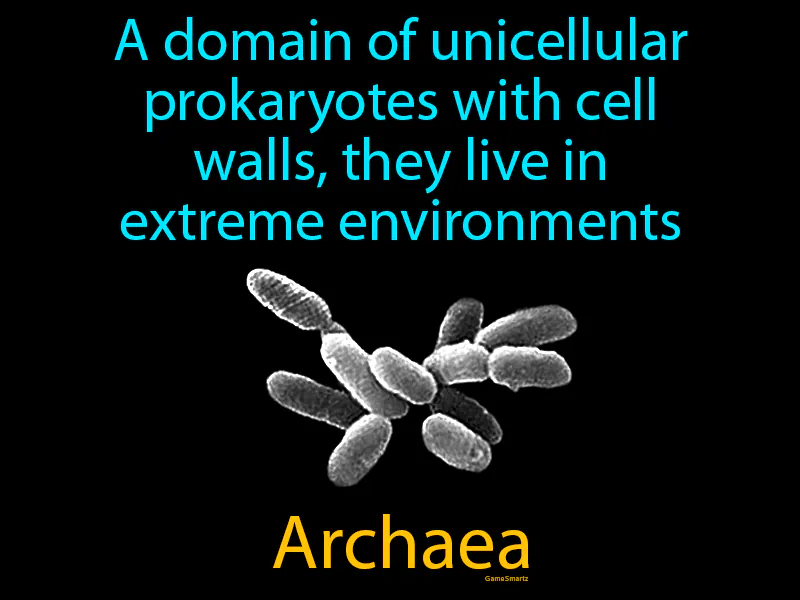 Archaea Definition Archaea Definition