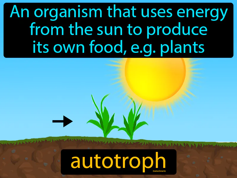 Autotroph Definition Autotroph Definition