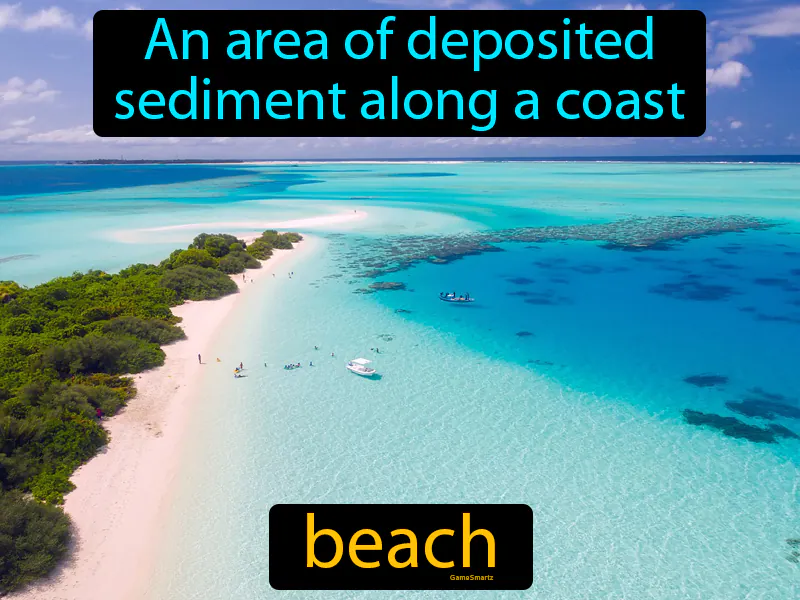 Beach Definition Beach Definition