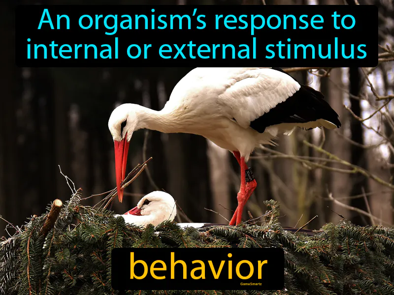 Behavior Definition Behavior Definition