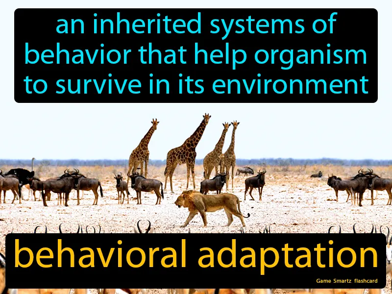 Behavioral Adaptation Definition Behavioral Adaptation Definition