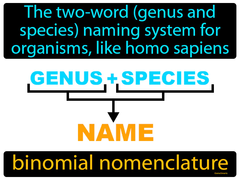 Binomial Nomenclature Definition Binomial Nomenclature Definition