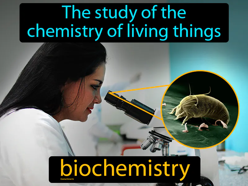 Biochemistry Definition Biochemistry Definition