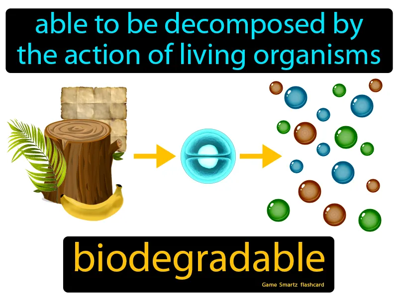 Biodegradable Definition Biodegradable Definition