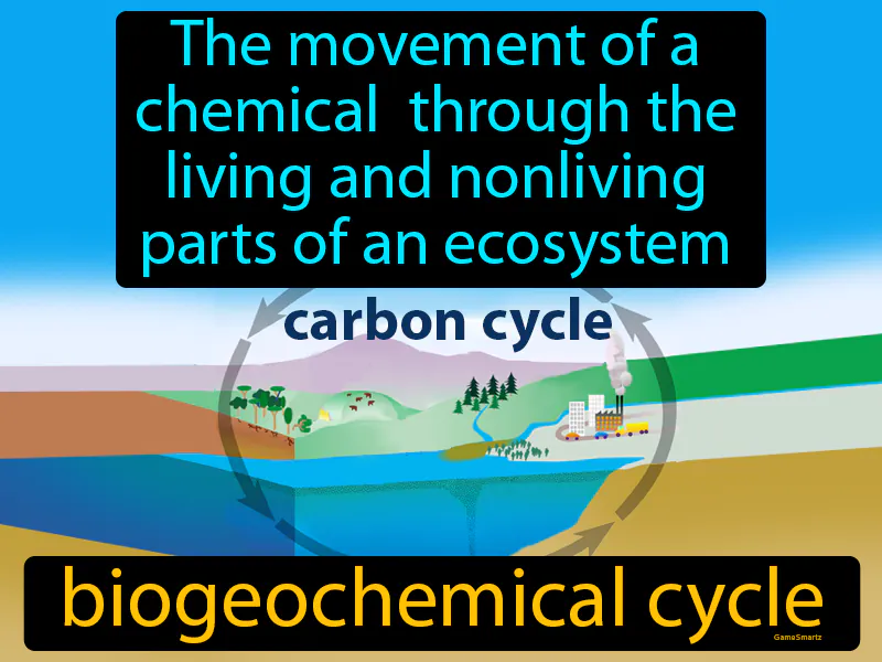 Biogeochemical Cycle Definition Biogeochemical Cycle Definition