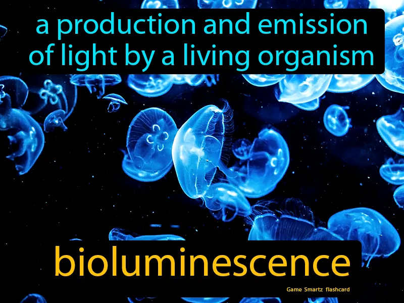Bioluminescence Definition Bioluminescence Definition
