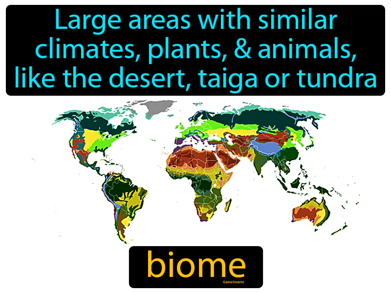 Biome Definition Biome Definition
