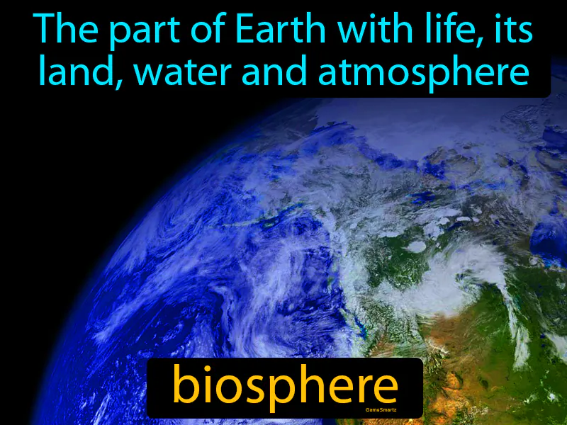 Biosphere Definition Biosphere Definition