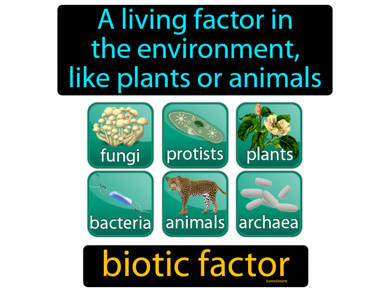 Biotic Factor Definition Biotic Factor Definition