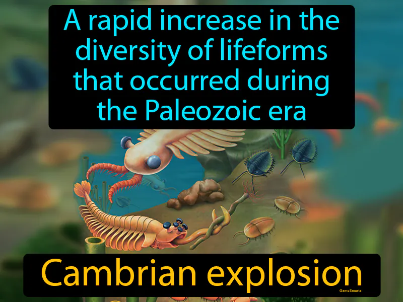 Cambrian Explosion Definition Cambrian Explosion Definition
