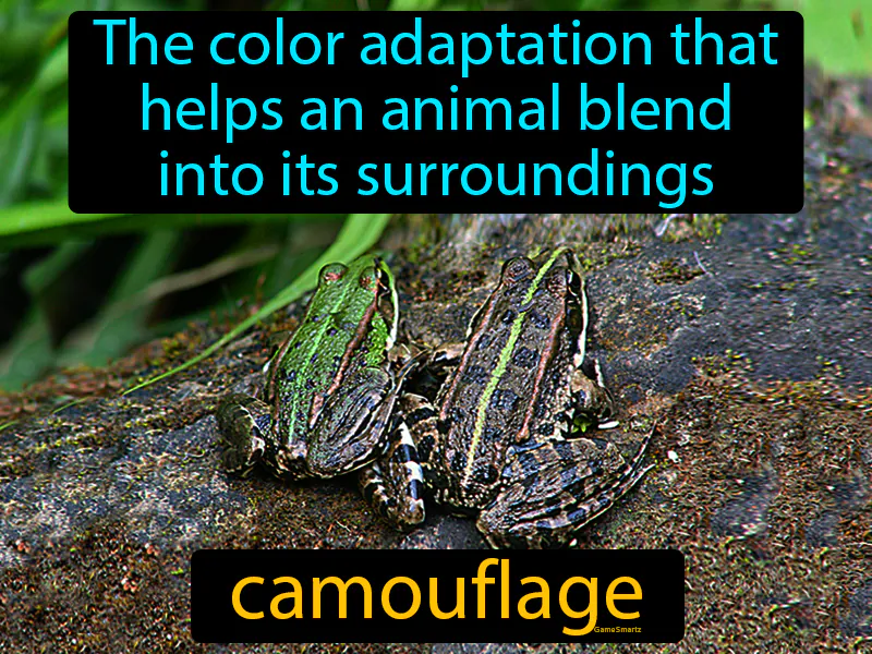 Camouflage Definition Camouflage Definition