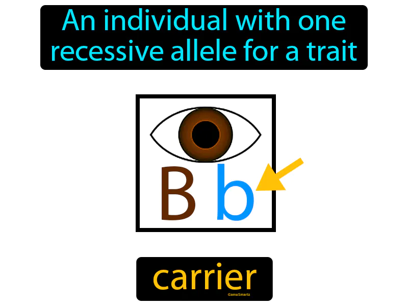 Carrier Definition Carrier Definition