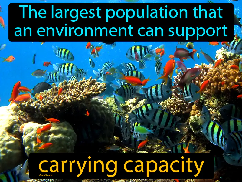 Carrying Capacity Definition Carrying Capacity Definition
