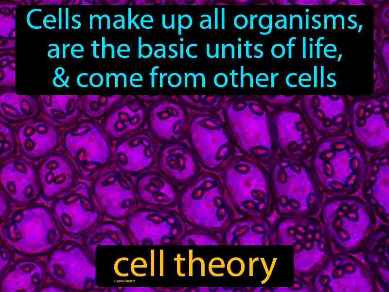 Cell Theory Definition Cell Theory Definition