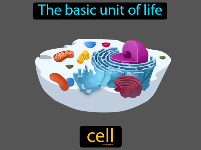 Cell Definition Cell Definition