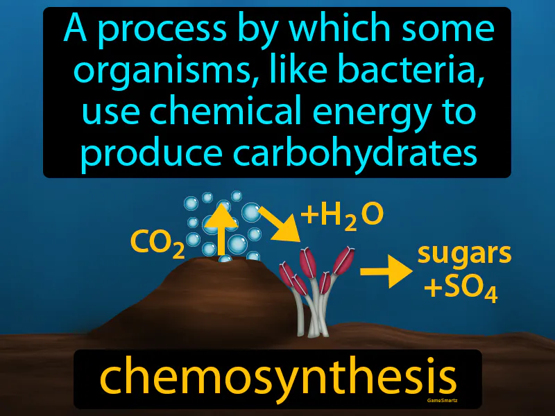 Chemosynthesis Definition Chemosynthesis Definition