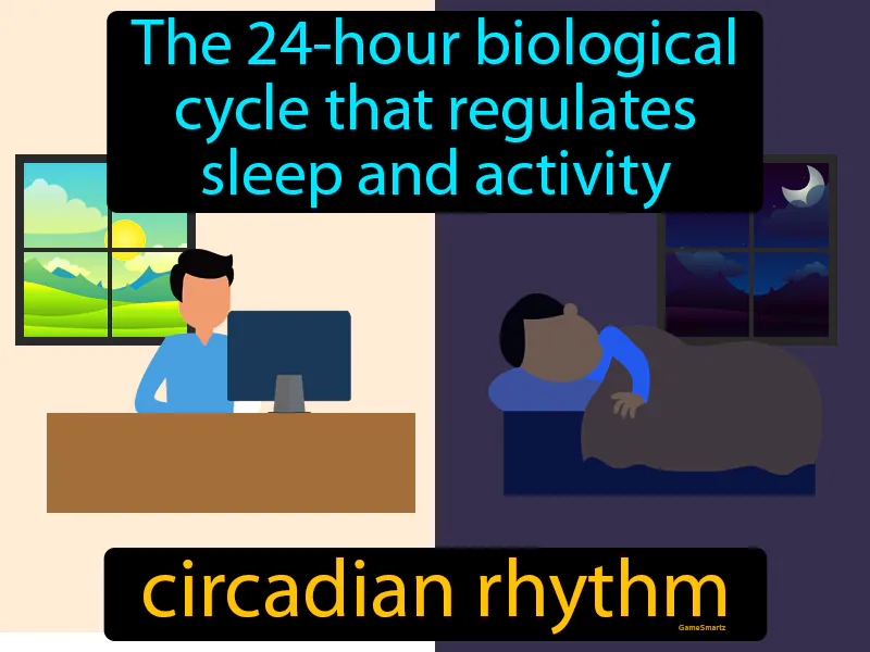 Circadian Rhythm Definition Circadian Rhythm Definition