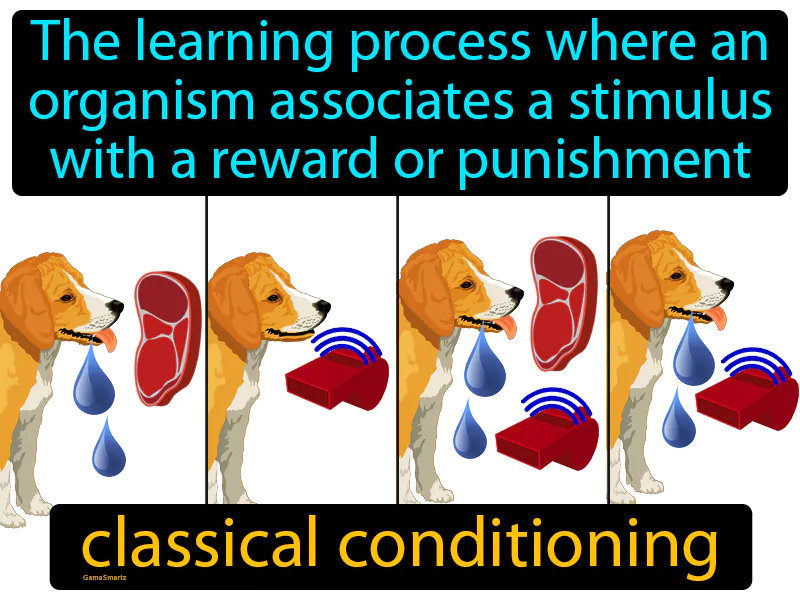 Classical Conditioning Definition Classical Conditioning Definition